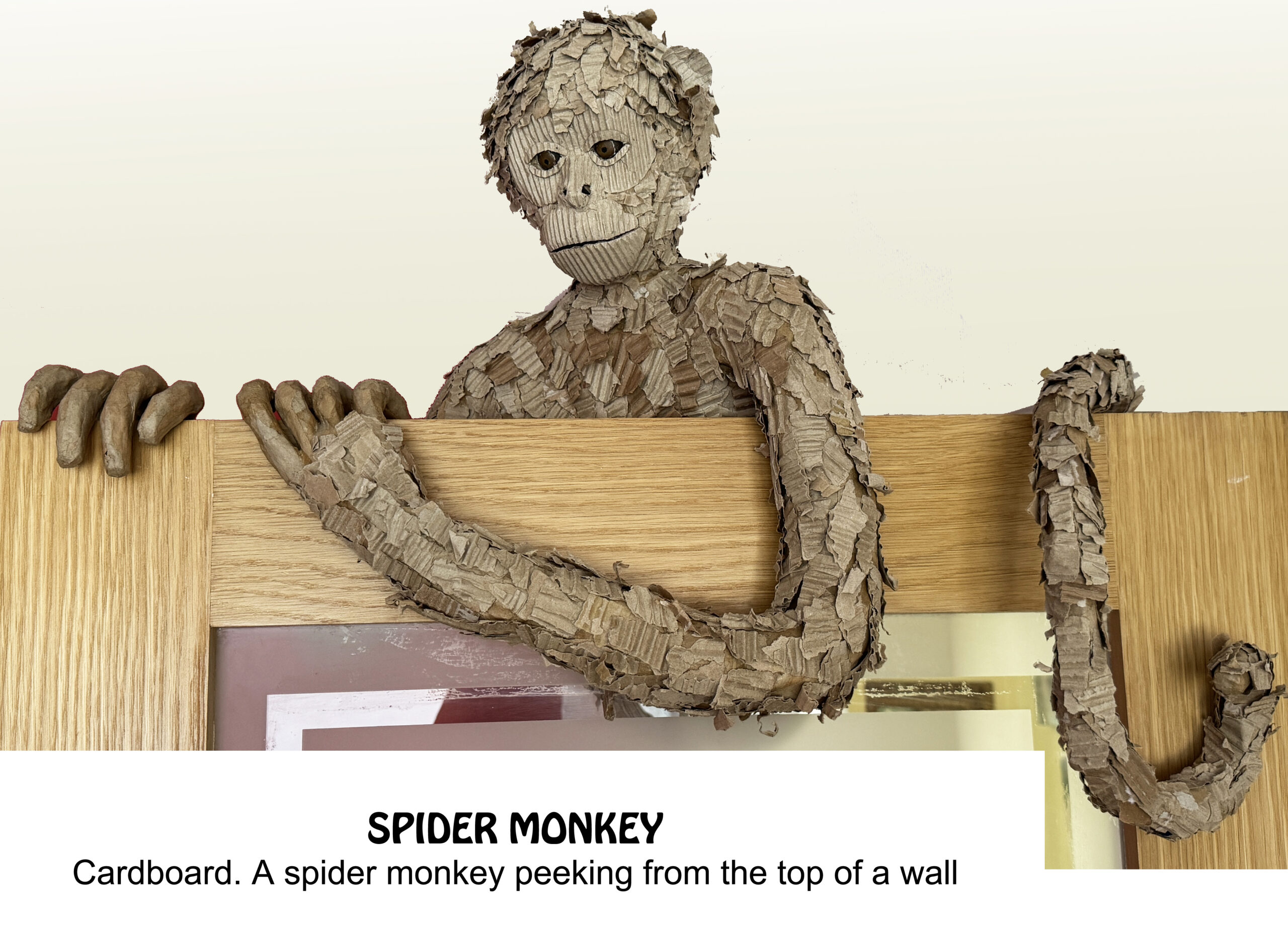monkey