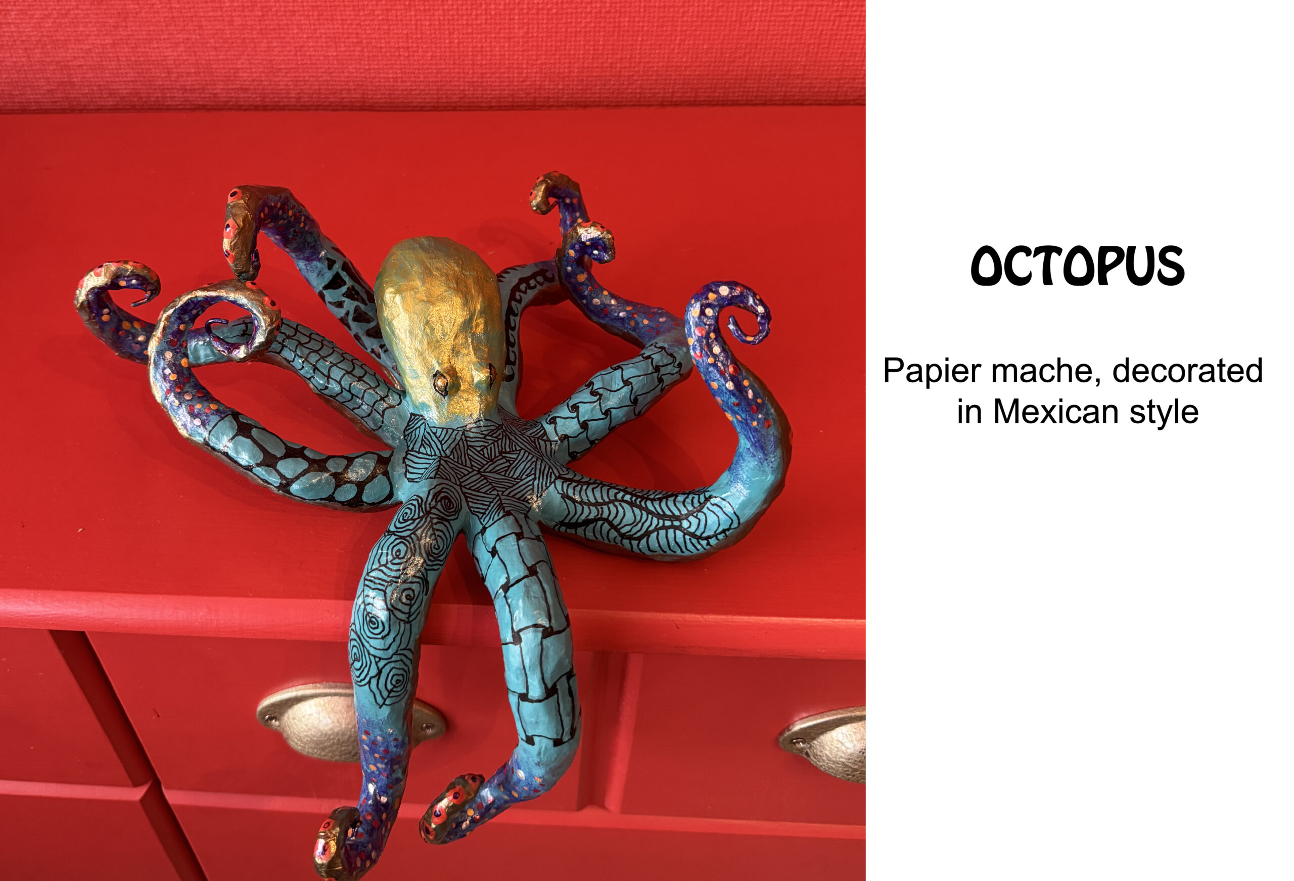 octopus